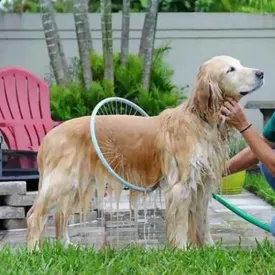 360 Pet Shower Tool