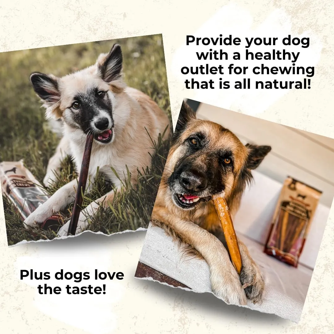Bully Bunches Premium 6 Inch Standard Odor-Free Bully Sticks for Small to Medium Dogs & Puppies - Long Lasting Chews for Oral Care - All Natural, 100% Beef Dog Treats, Rawhide Free (5 Pack)