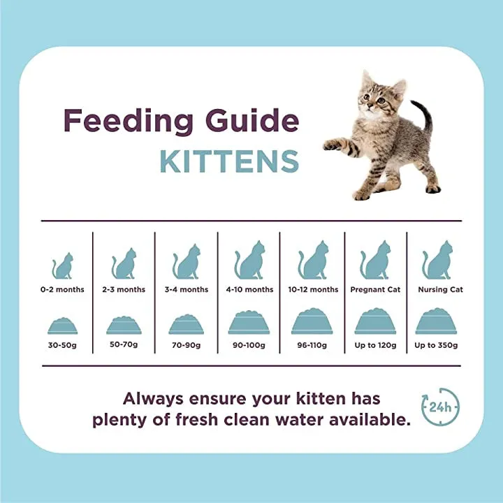 Burgess SupaCat Kitten 1.5kg