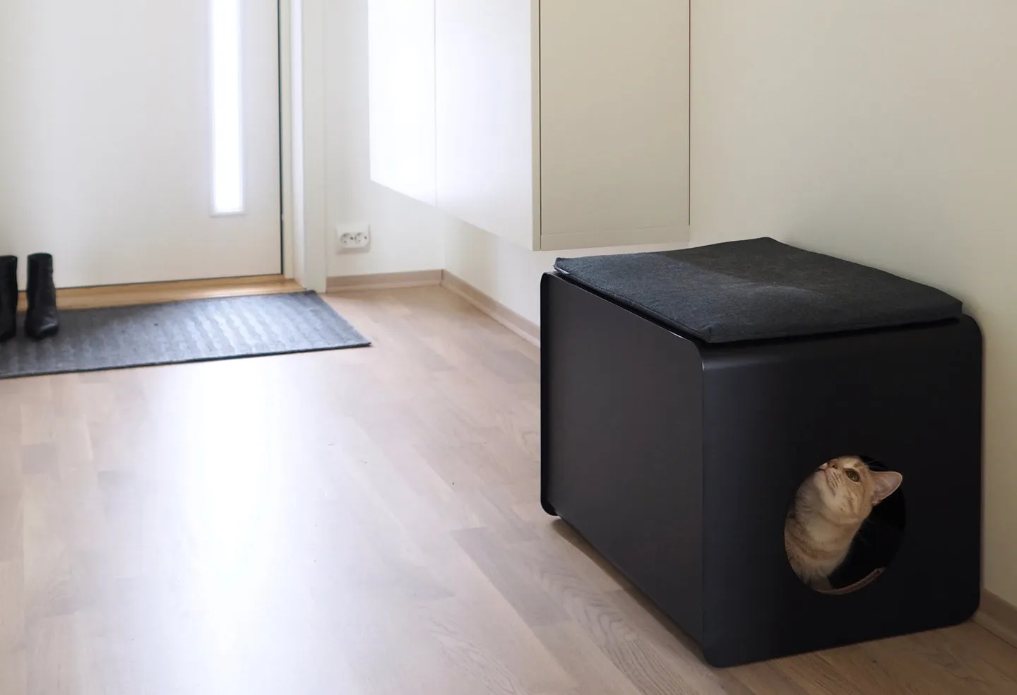 Cat Litter Sito Cushion