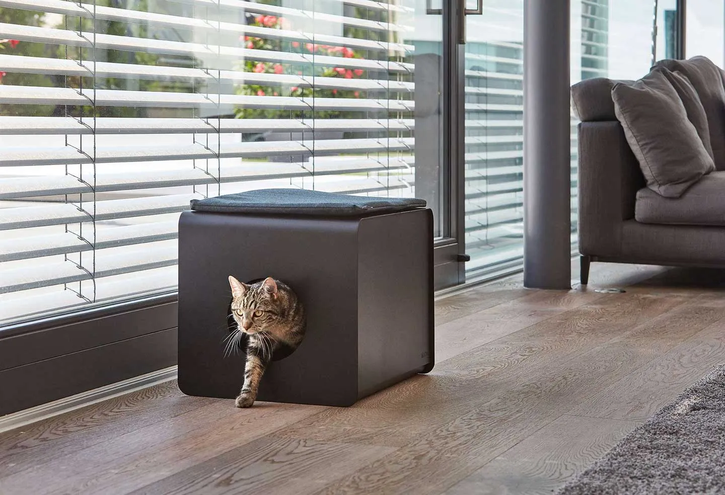 Cat Litter Sito Cushion