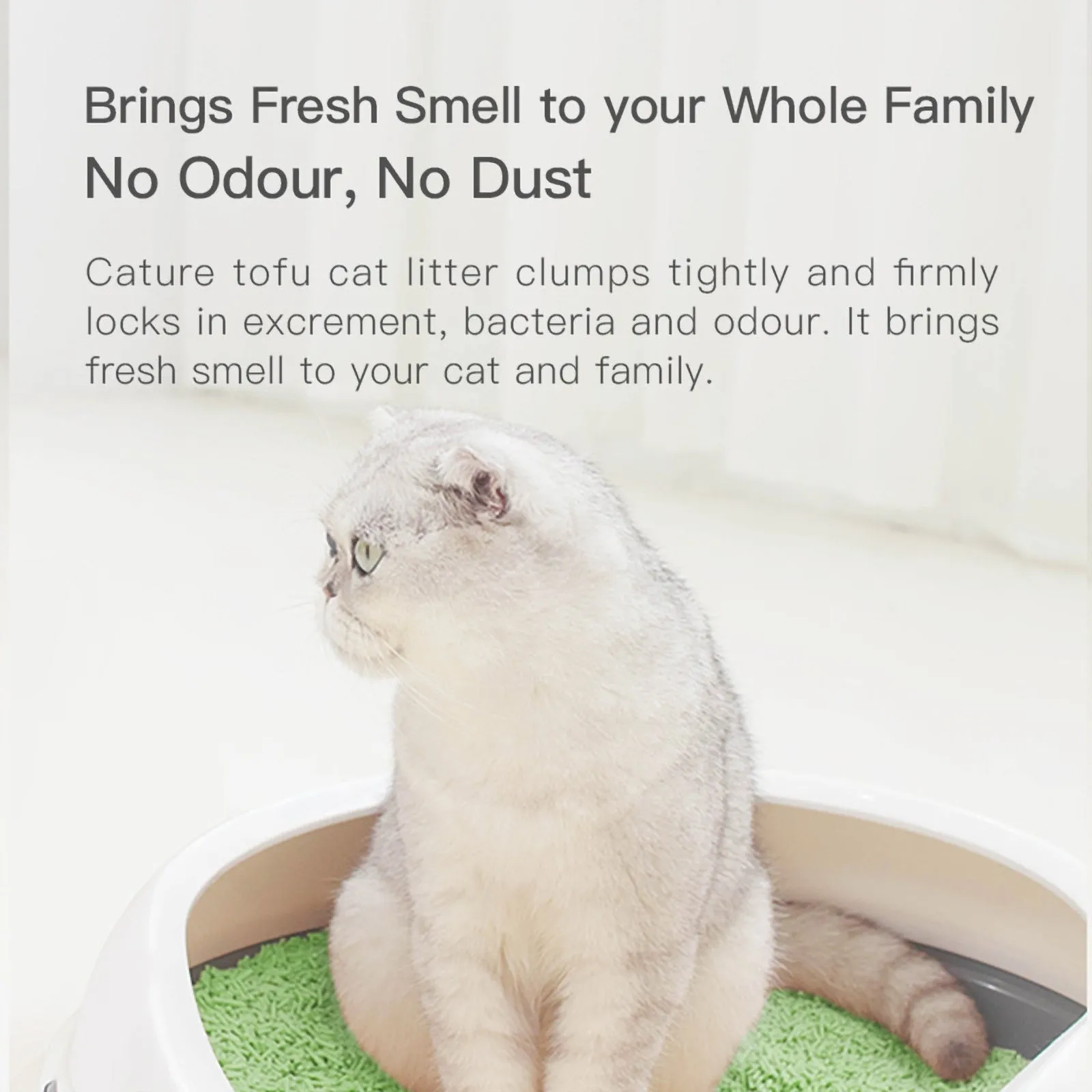 Cature Natural Tofu Clumping Green Tea Cat Litter