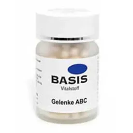 CHONDROITIN GLUCOSAMINE Capsules 200 pc