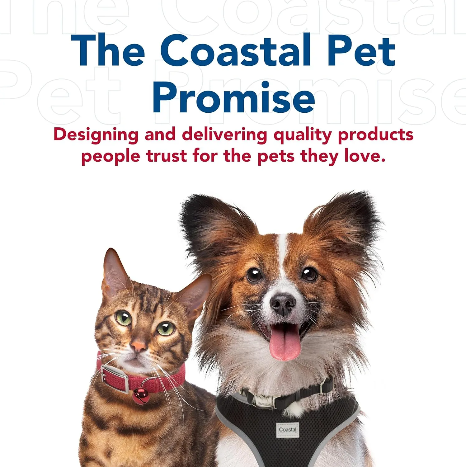 Coastal - Styles Dog Leash - Vibrant and Trendy Dog Leash - Purple Special Paw Print - 3/8 x 6