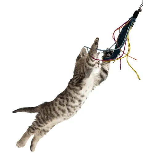 Dezi & Roo Wiggly Wand Toy with Worm Tail