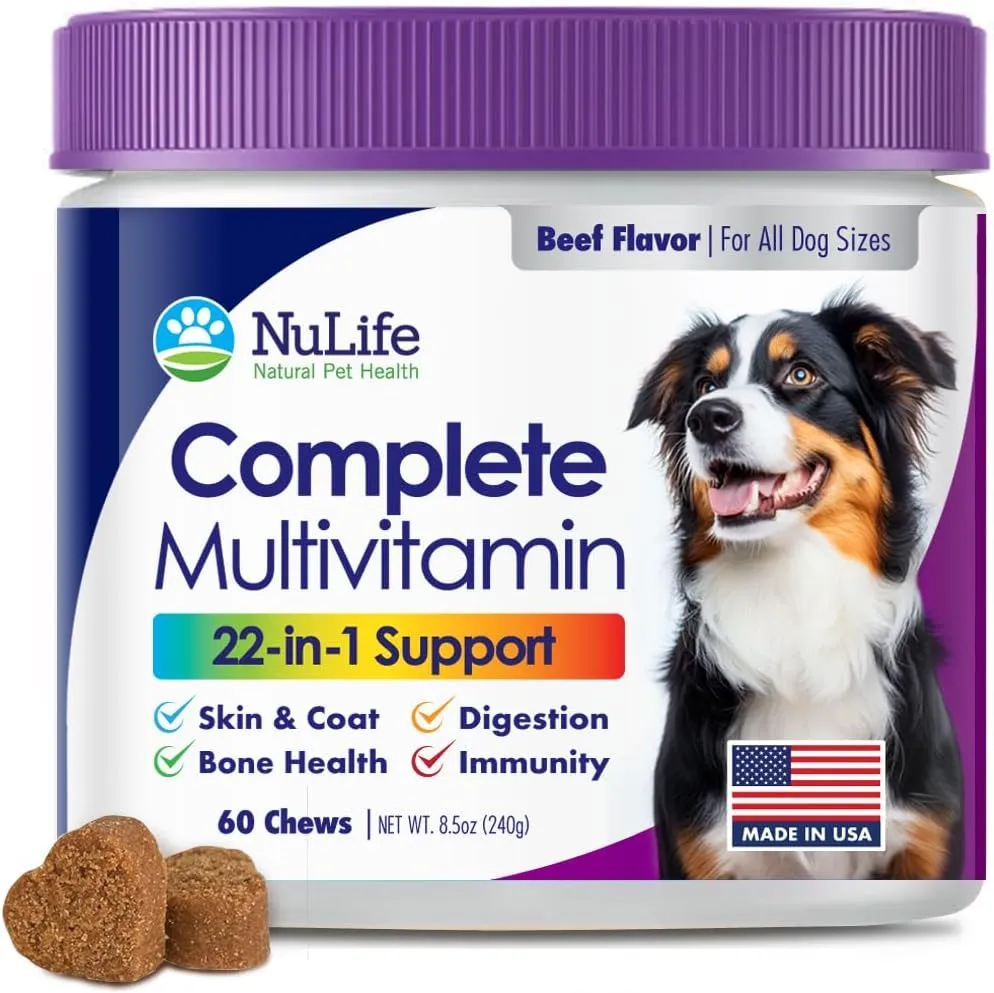 Dog Multivitamin Supplement, 22-in-1 Support for Immune System, Skin, Coat, Joints & Overall Health, Vitamins A, B, C, D, E, K, Minerals, Antioxidants - 60 Chews - Beef Flavor