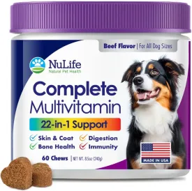 Dog Multivitamin Supplement, 22-in-1 Support for Immune System, Skin, Coat, Joints & Overall Health, Vitamins A, B, C, D, E, K, Minerals, Antioxidants - 60 Chews - Beef Flavor