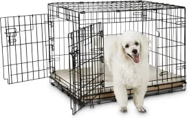 EveryYay Going Places 2-Door Folding Dog Crate 30.9" L X 19.5" W X 21.5" H