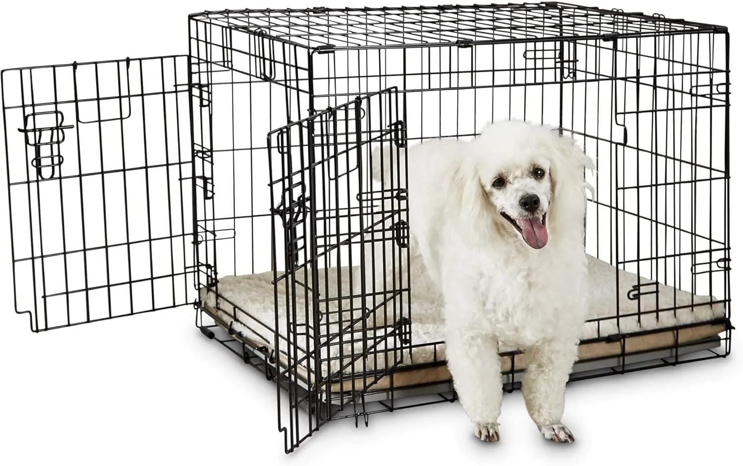 EveryYay Going Places 2-Door Folding Dog Crate 30.9" L X 19.5" W X 21.5" H
