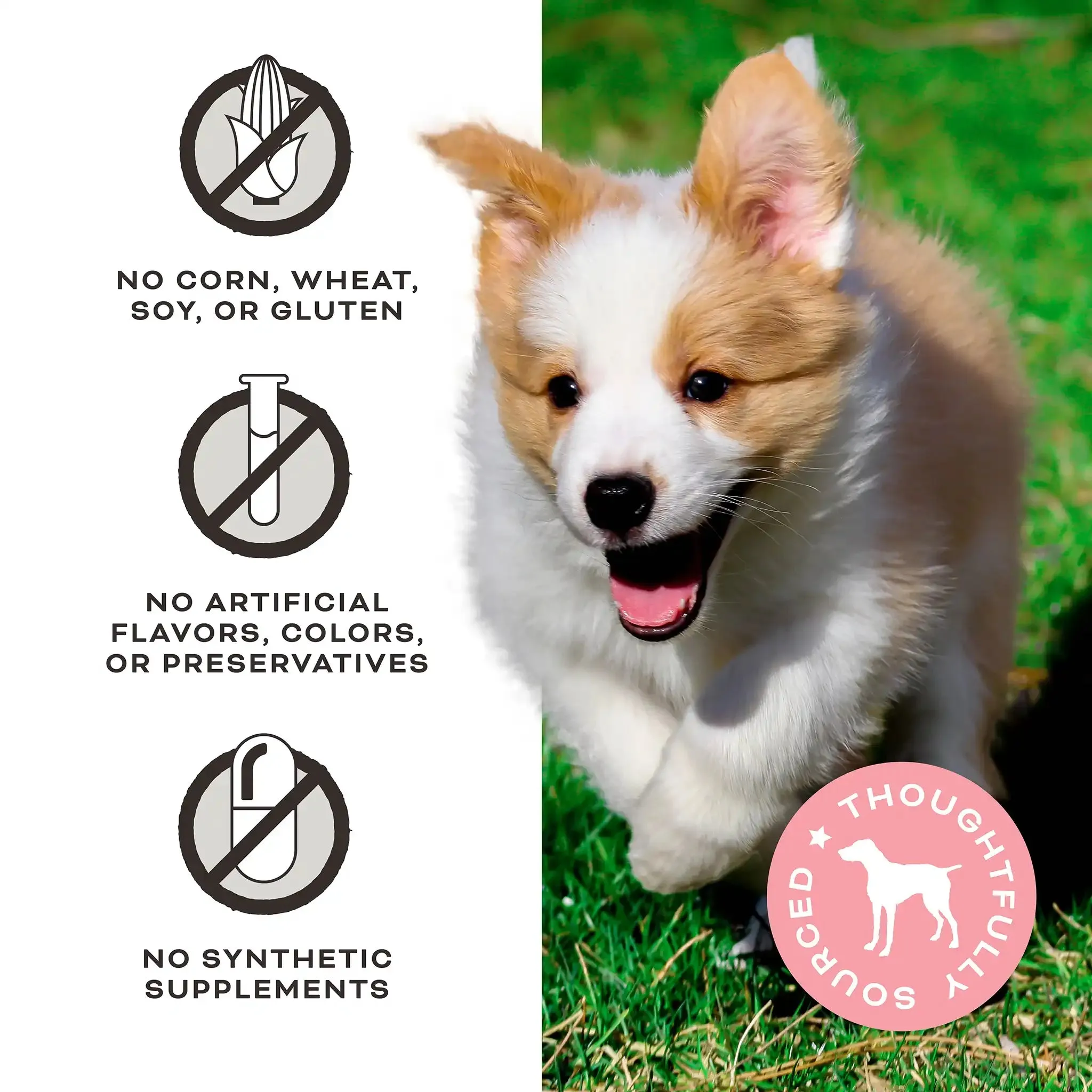 Give Pieces a Chance Jerky Treats for Dogs <br> Beef Recipe