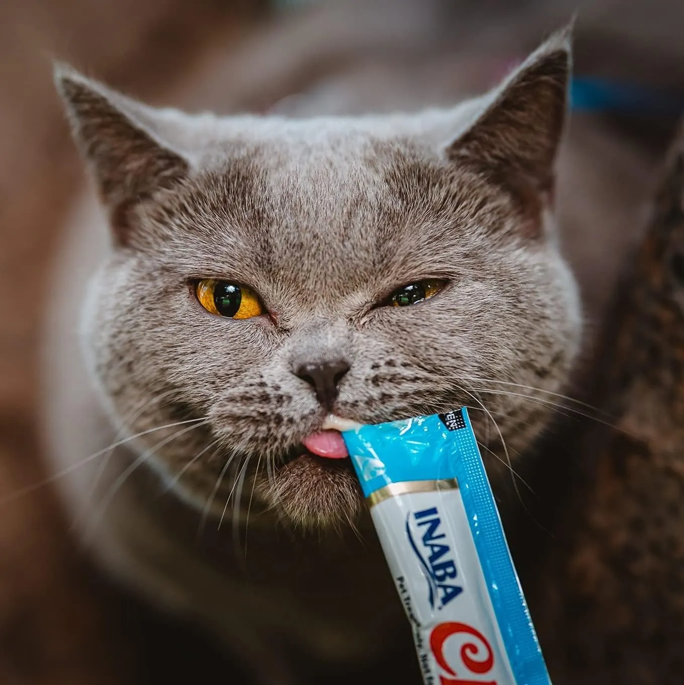 INABA Churu Tuna Recipe Lickable Pure Natural Cat Treats 12 Tubes