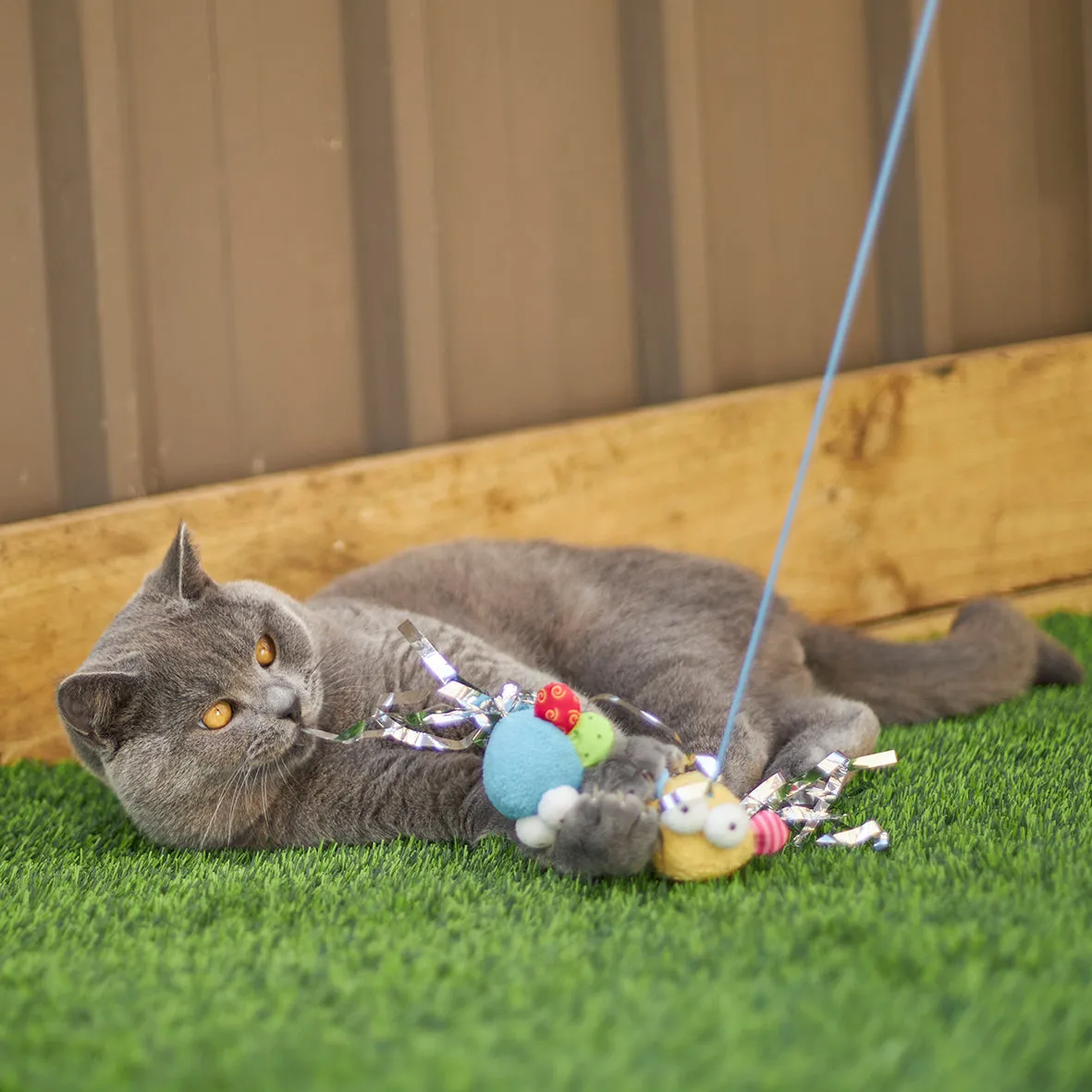 Kazoo Butterfly High Chase and Play Wand Cat Toy {)_(}