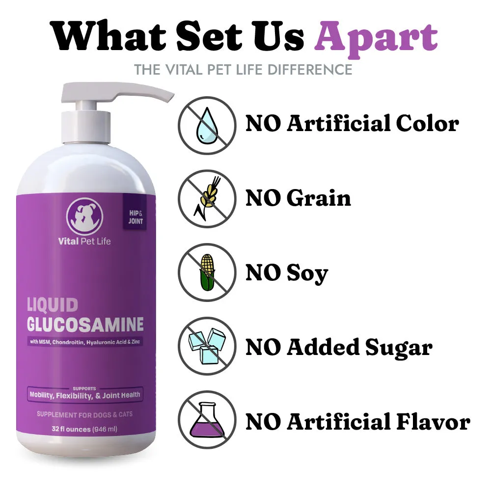 Liquid Glucosamine MSM Chondroitin