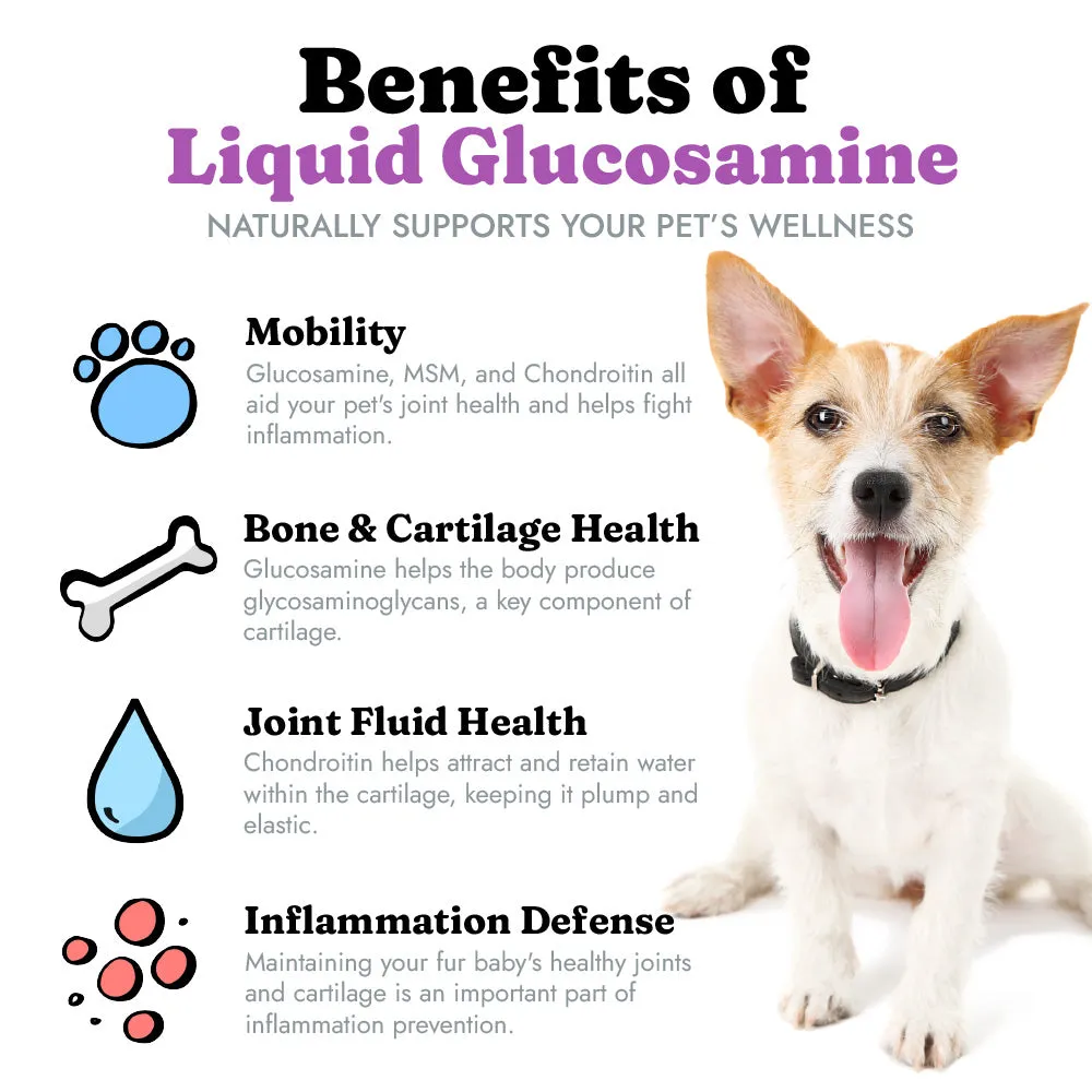 Liquid Glucosamine MSM Chondroitin