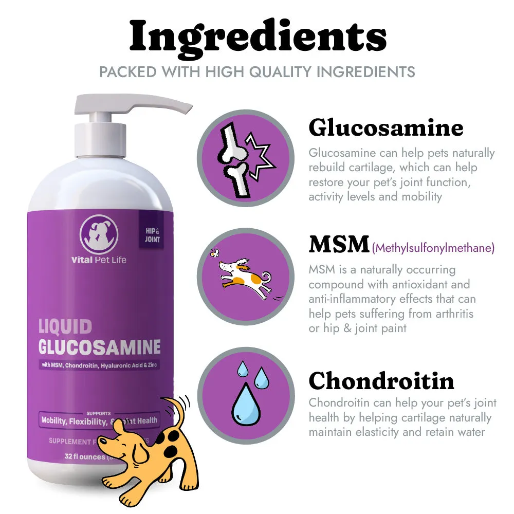Liquid Glucosamine MSM Chondroitin