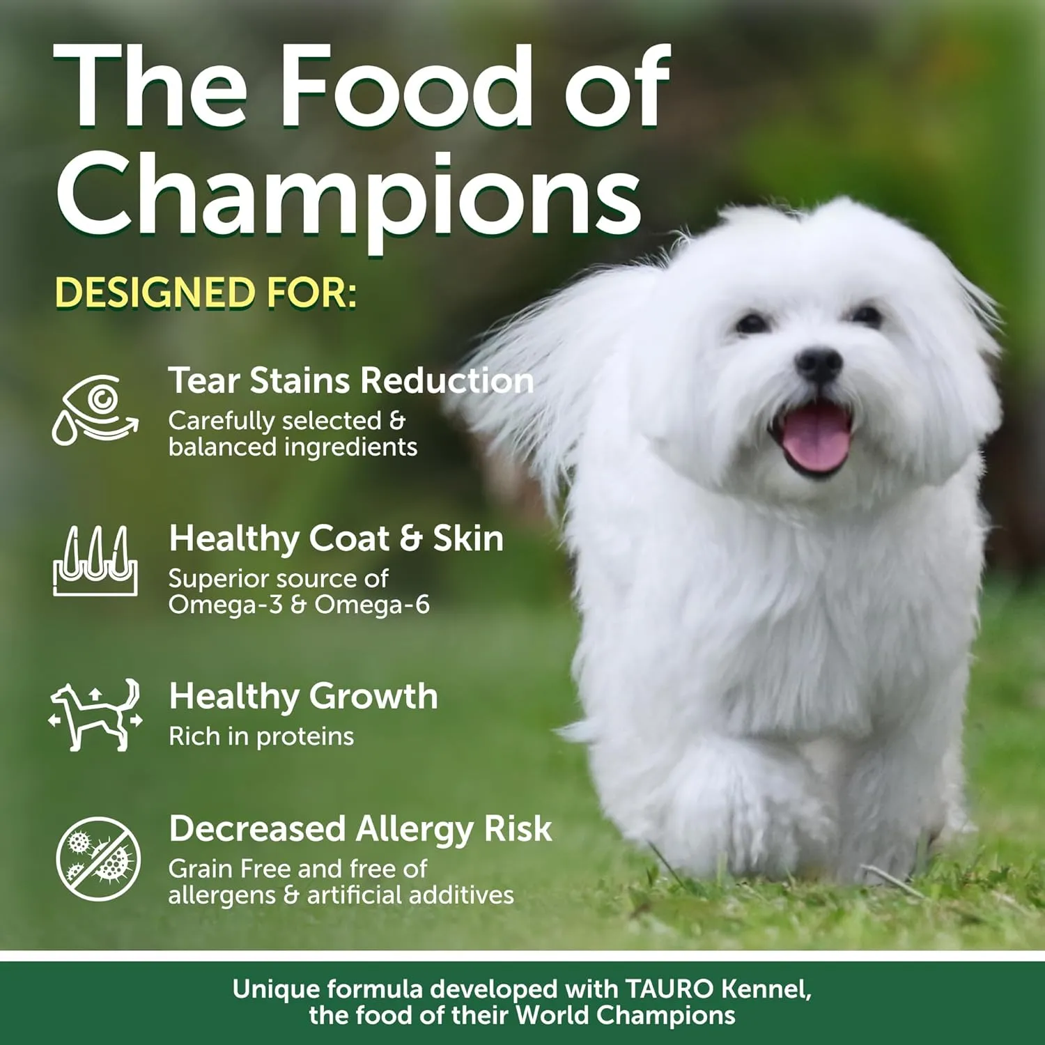 Nature's Protection Superior Care White Dogs Grain-Free Dry Dog Food - High Protein, Tear Stain Dog Food for Small & Mini Breeds Light Coated Adult Dogs, Fresh Pet Meal, Lamb, 3.3 lb