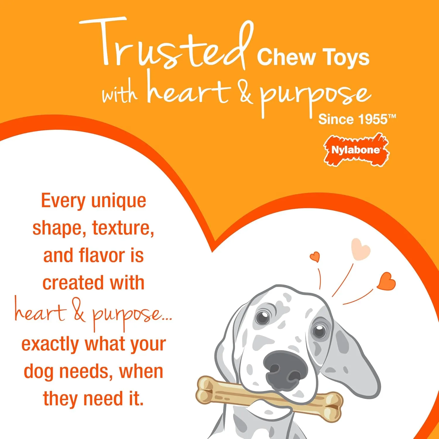 Nylabone Original Bone Flexi Chew Toy for Dogs, Dog Toys for Moderate Chewers, Chicken Flavor, Medium - Up to 35 lbs, 1 Count
