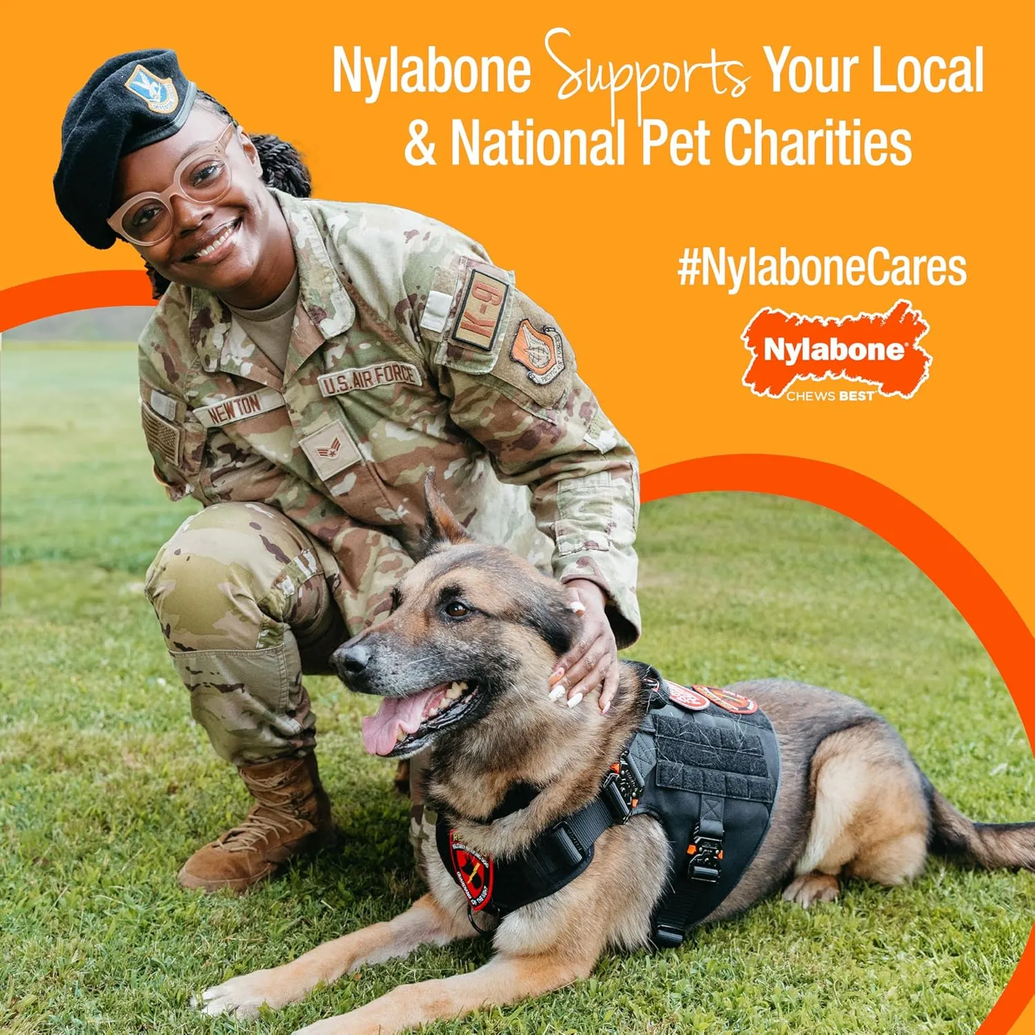 Nylabone Original Bone Flexi Chew Toy for Dogs, Dog Toys for Moderate Chewers, Chicken Flavor, Medium - Up to 35 lbs, 1 Count
