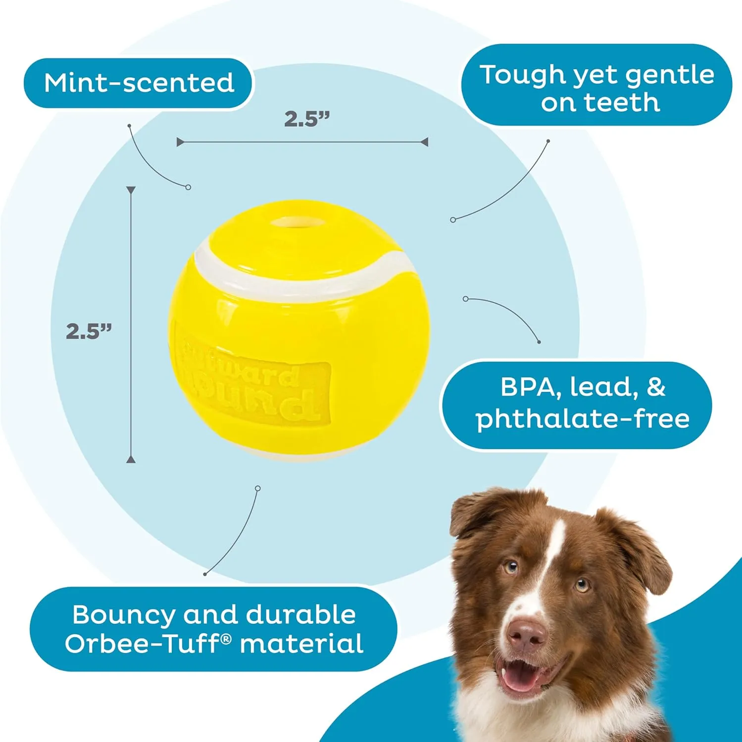 Outward Hound by Planet Dog Sport Ballz Tennis Ball Treat-Dispensing Fetch Ball Dog Toy