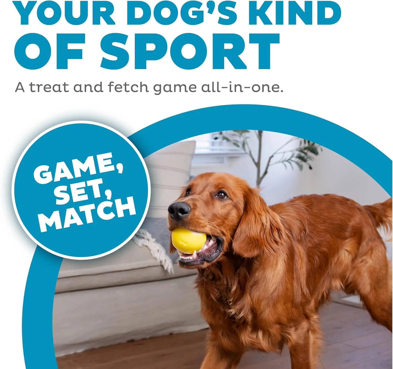 Outward Hound by Planet Dog Sport Ballz Tennis Ball Treat-Dispensing Fetch Ball Dog Toy
