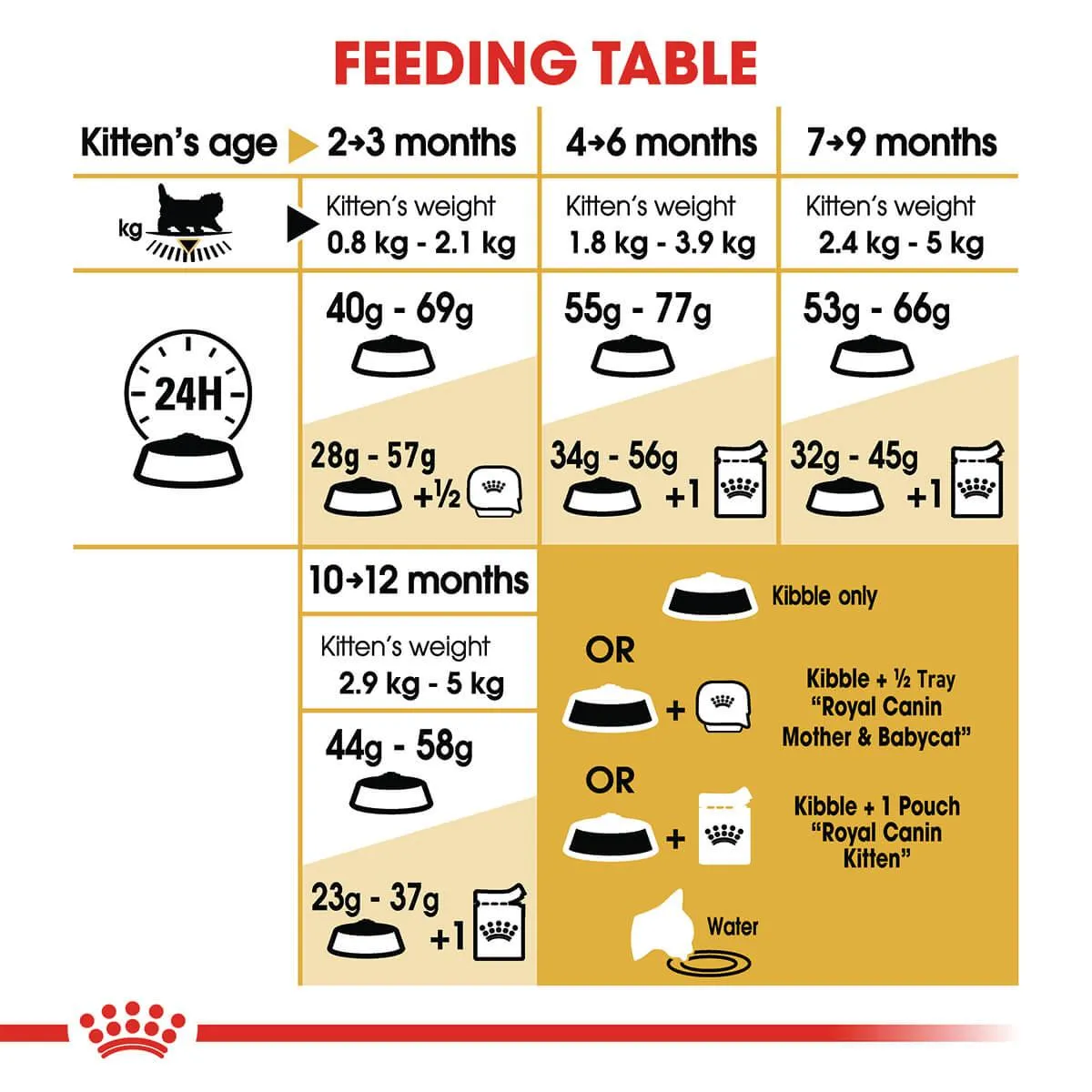 Royal Canin Maine Coon Kitten Dry Cat Food