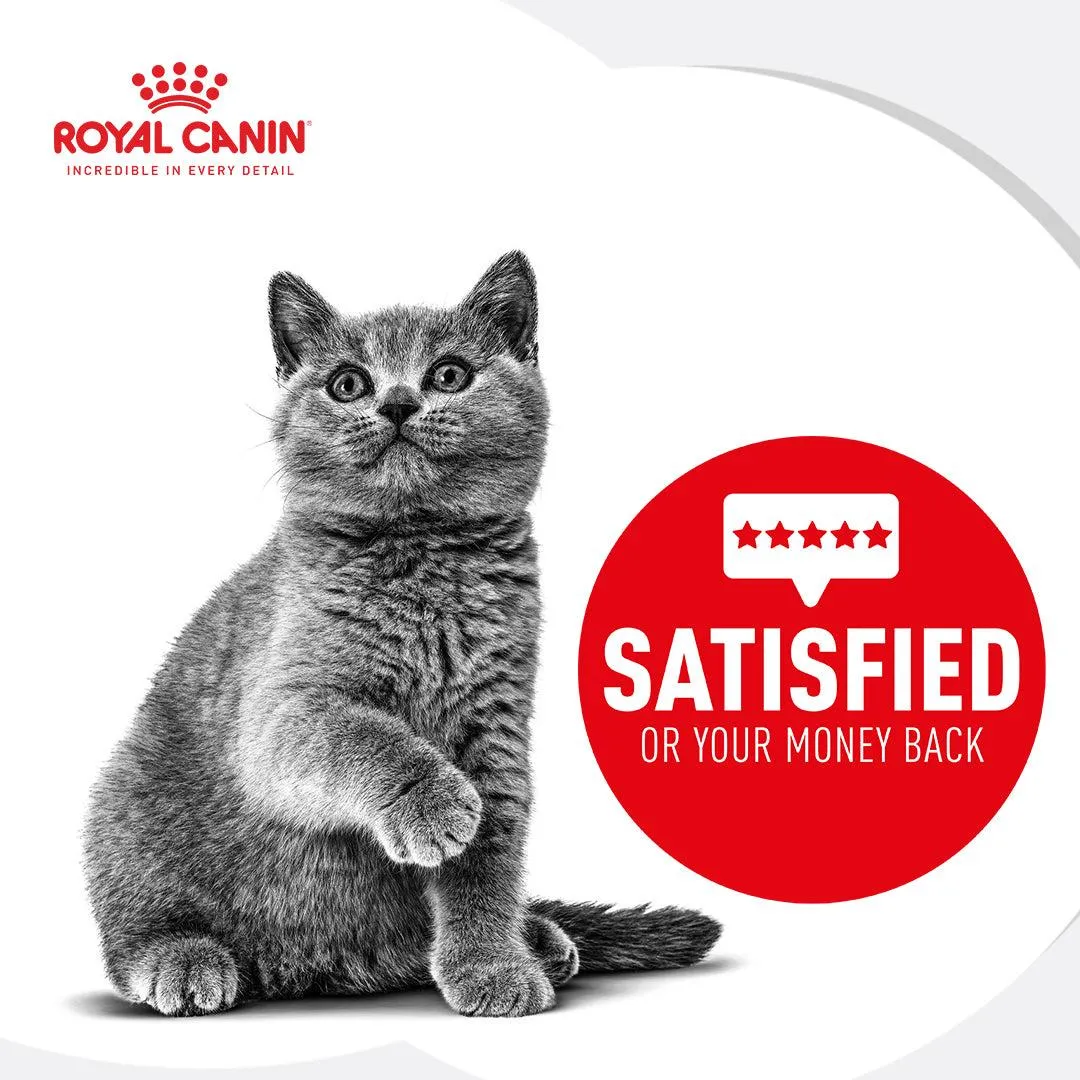 Royal Canin Maine Coon Kitten Dry Cat Food