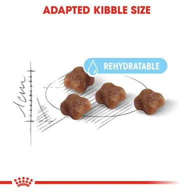 Royal Canin Mother & Babycat Adult/Kitten Dry Cat Food
