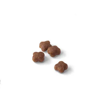 Royal Canin Mother & Babycat Adult/Kitten Dry Cat Food
