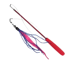 Teaser Wand Cat Toy with Worm Lure by Dezi & Roo