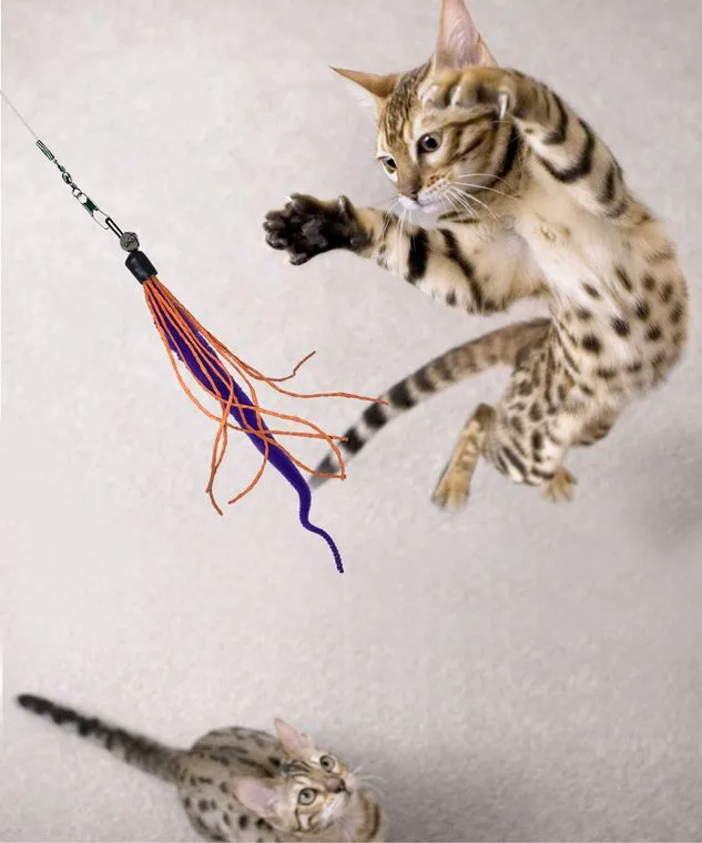 Teaser Wand Cat Toy with Worm Lure by Dezi & Roo