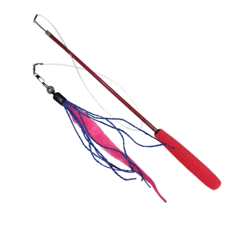 Teaser Wand Cat Toy with Worm Lure by Dezi & Roo
