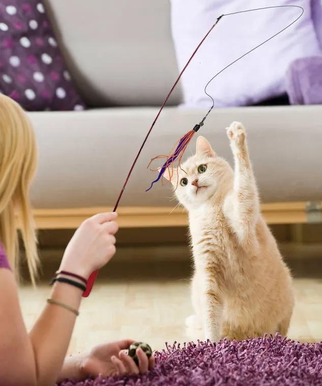 Teaser Wand Cat Toy with Worm Lure by Dezi & Roo